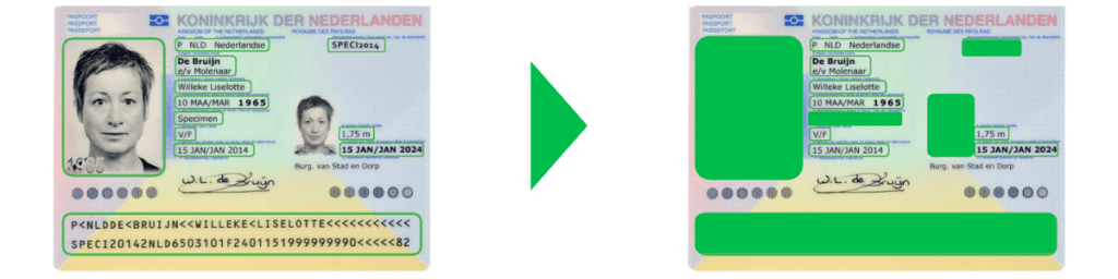 Data Masking Passport