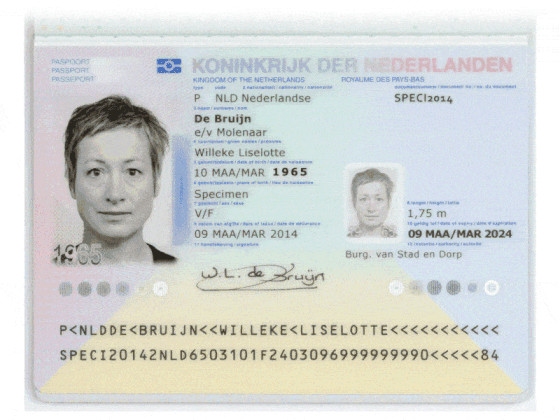 data maskering dmv watermerk over paspoort