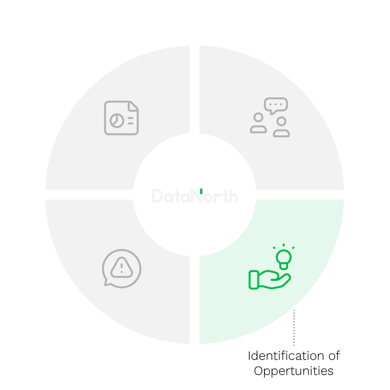 AI Assessments - Identification of Opportunities Donut Chart